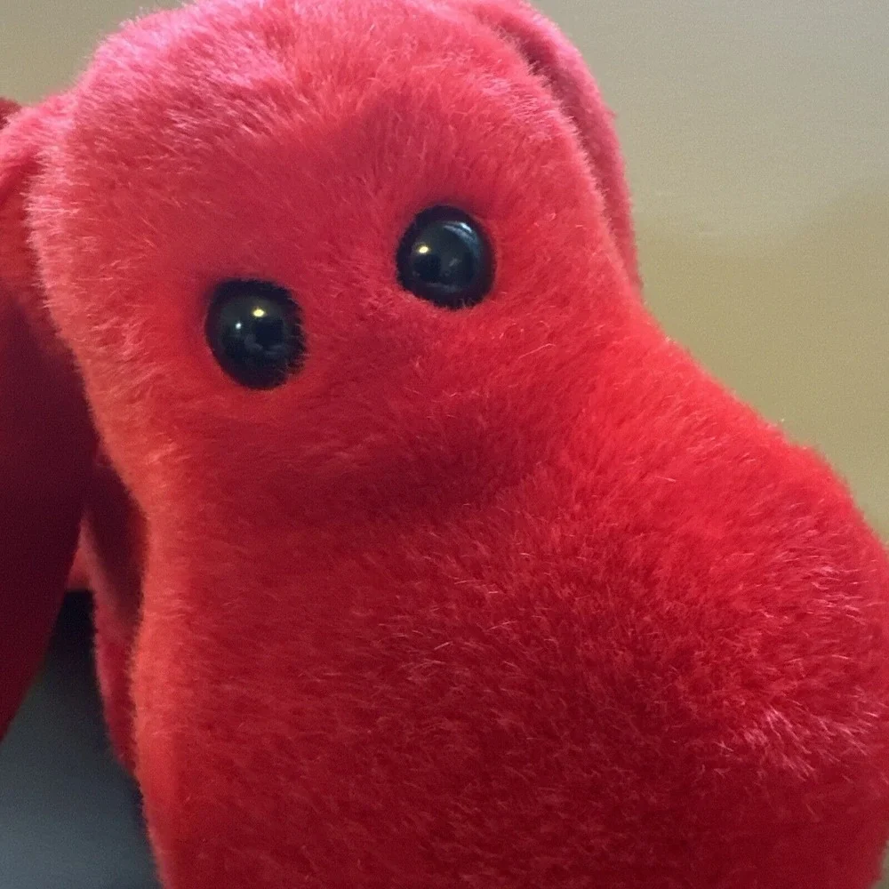 TY Beanie Buddy- Rover Red Puppy‎ Dog 12